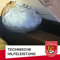 2023-12-27 - Büro.jpg