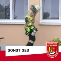 wespennest_entfernen.png